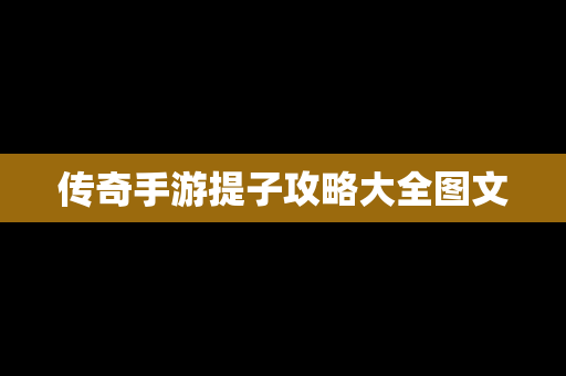 传奇手游提子攻略大全图文