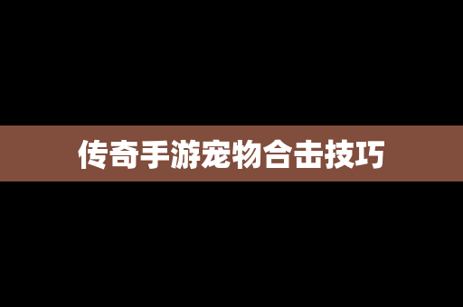 传奇手游宠物合击技巧