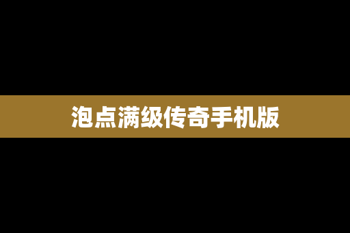 泡点满级传奇手机版