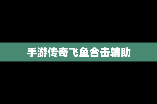 手游传奇飞鱼合击辅助