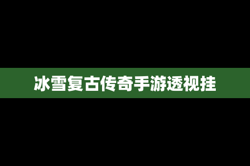冰雪复古传奇手游透视挂