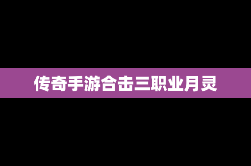 传奇手游合击三职业月灵