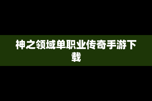 神之领域单职业传奇手游下载