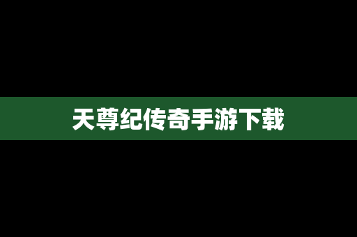 天尊纪传奇手游下载