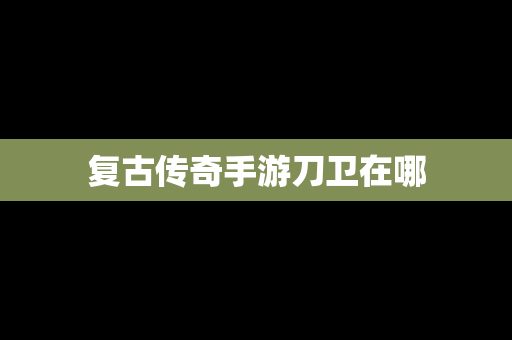 复古传奇手游刀卫在哪