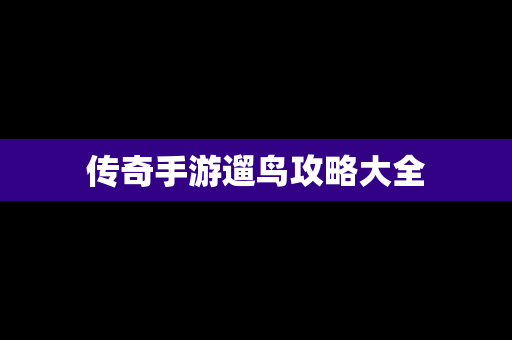 传奇手游遛鸟攻略大全