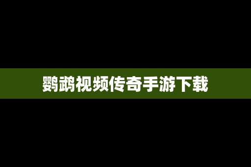 鹦鹉视频传奇手游下载