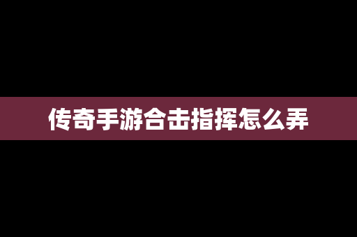传奇手游合击指挥怎么弄